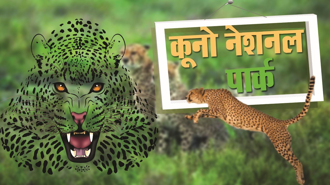 rain in kuno has increased