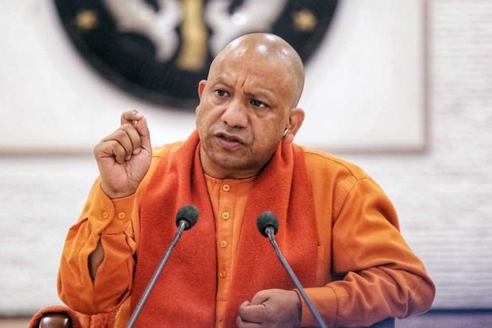 yogi a 83 1.jpg